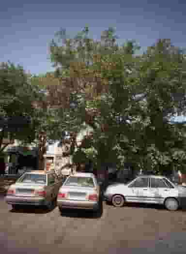 قصابی در چهنو مشهد