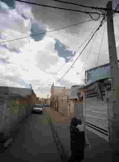 سوپر پروتئین رضا کوی دروی مشهد