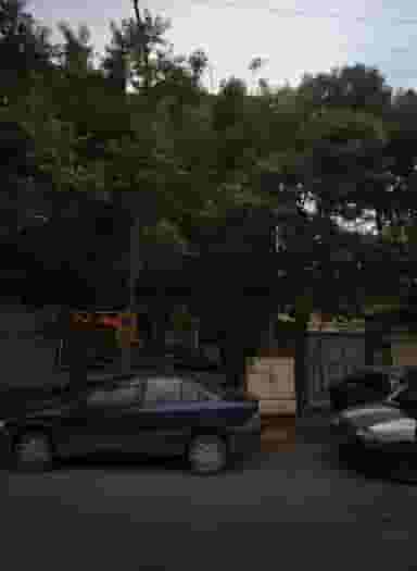 قصابی در حضرت ابوطالب مشهد