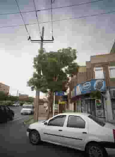 سوپر پروتئین سعید در کوشش مشهد