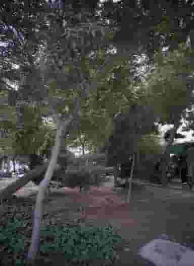 خیاطی و فروشگاه لوازم نظامی در شهید بهشتی مشهد