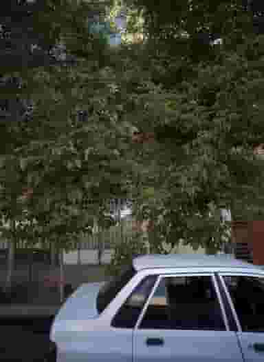 خیاطی شهرک بهارستان مشهد