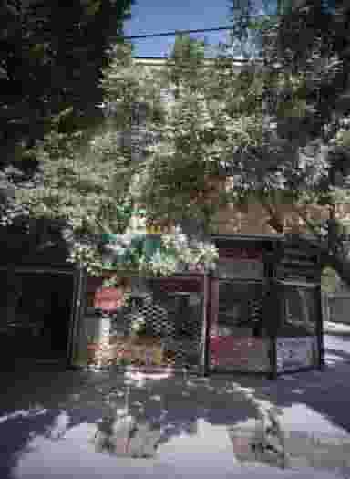 خرازی اشکان در شهید مطهری مشهد