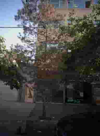 زنانه دوزی برگ سبز در شفا مشهد