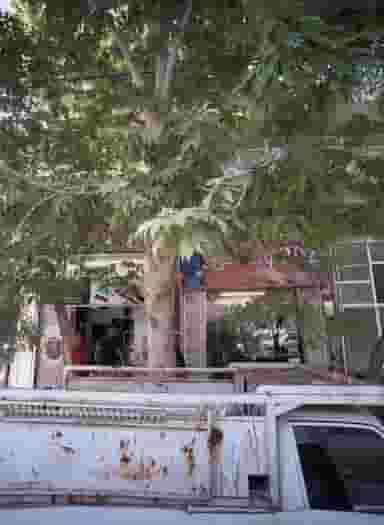 خیاط وجدانی در احمدآباد مشهد