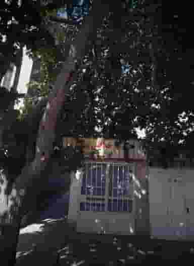 خیاطی بهار در شهید قربانی مشهد