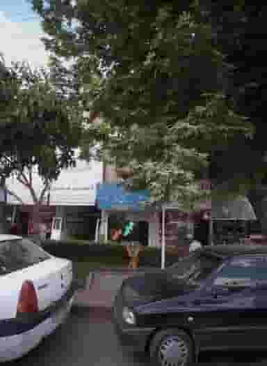 عکس اسماء در بهمن مشهد