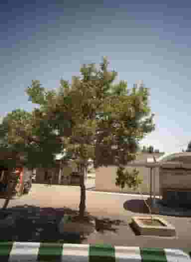 تعمیرات خیاطی پایانه در ایمان مشهد