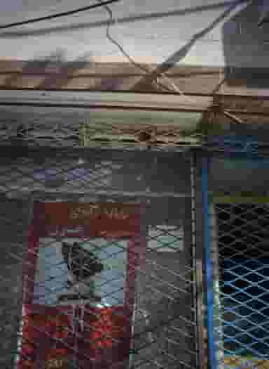 زنانه دوزی غزل در طبرسی شمالی مشهد