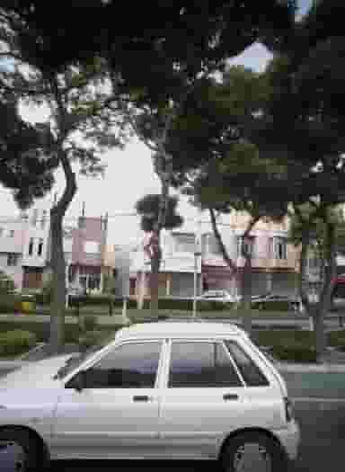 خیاط شادی در دریادل مشهد