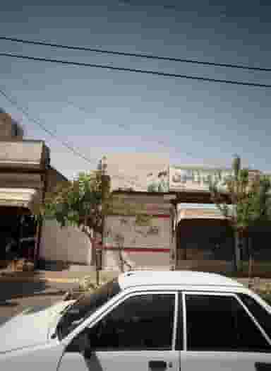 خرازی زیتون در شاهد مشهد