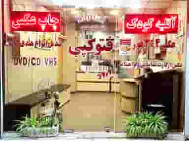 عکاسی رنگین عکس در لاله شیراز