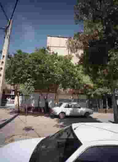 خرازی شکوفه در شفا مشهد