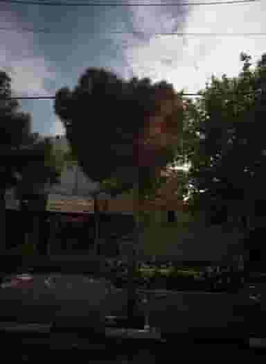 شهر دکمه در رضاشهر مشهد