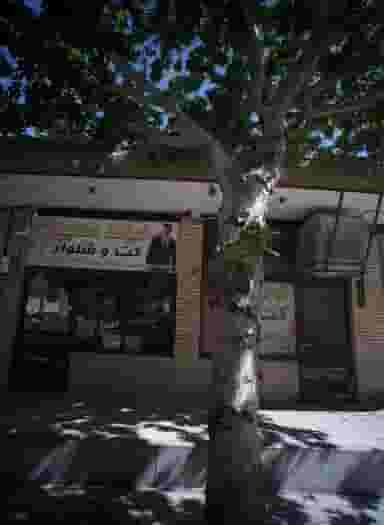 خیاط حمید در اقبال مشهد