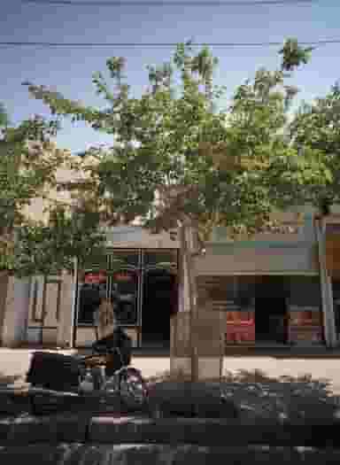 خیاط داریوش در رضاییه مشهد