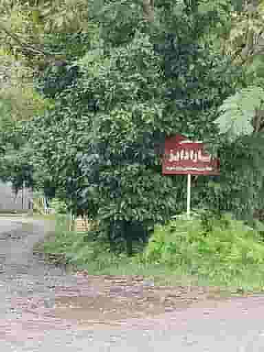 باغ عروس پارادایز شهرک گلسار رشت