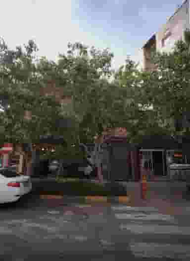 نمایشگاه فرش و موکت گل آرا در سعدی مشهد