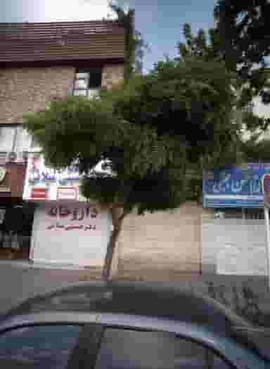 مدرسه تخصصی قرآن در سجاد شهر مشهد