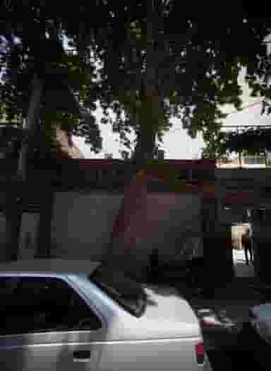 موسسه فرهنگی حکیم نظامی گنجوی در شمشیری تهران