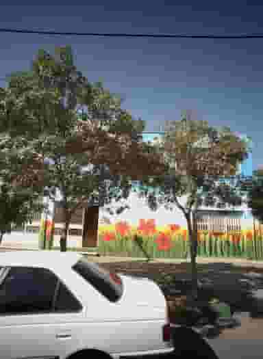 پیش دبستان و دبستان گلستان علم در آب و برق مشهد