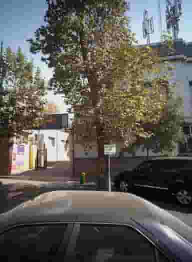 دبستان بین الملل نیکو در قیطریه تهران