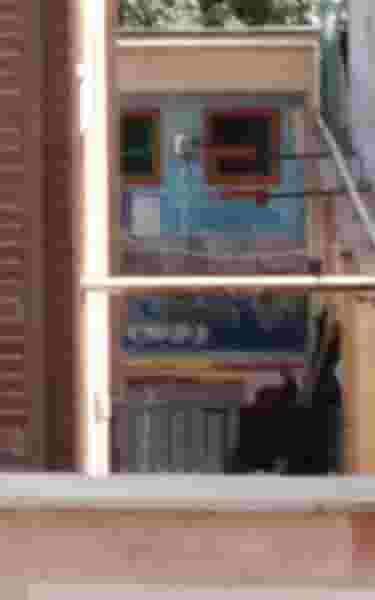 مدرسه ابتدایی دخترانه حامی منطقه 11 در منیریه تهران