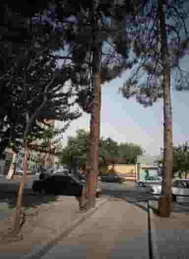 دبیرستان دخترانه نمونه دولتی و هیئت امنایی عفاف در شهادت تهران