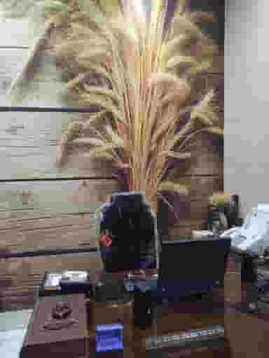 دفتر خدمات کشاورزی بذرستانِ ری در فیروزآبادی تهران