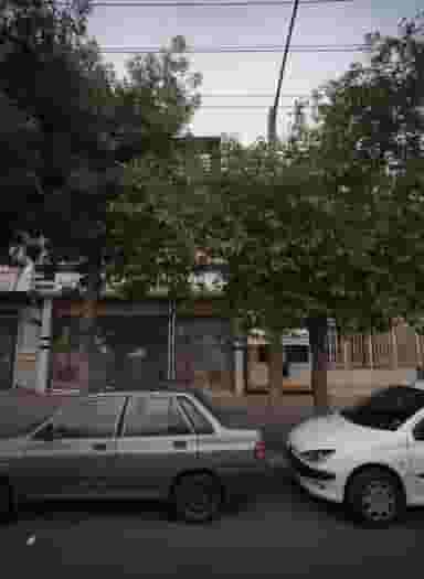 خدمات دندان یاسین در موعود مشهد