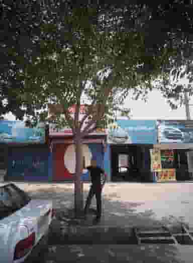 صوت حرفه ای مهدی در اروند مشهد