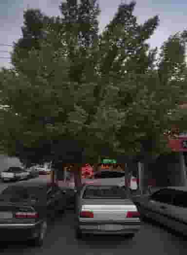 فروشگاه لوازم یدکی خودرو در کوشش مشهد