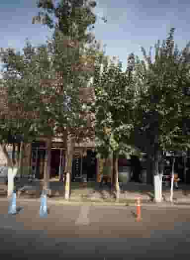 لاستیک فروشی در بهارستان تهران