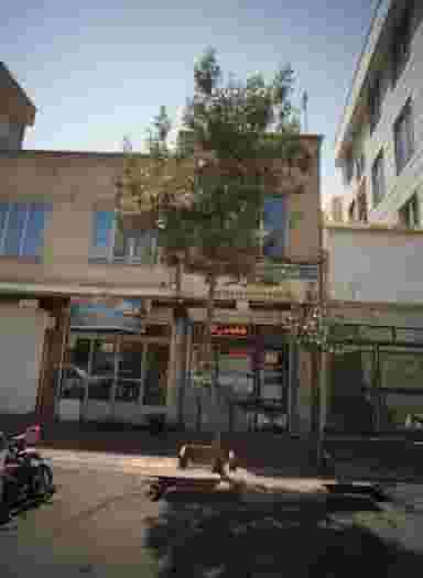 فروشگاه تهرانی در شکوفه 