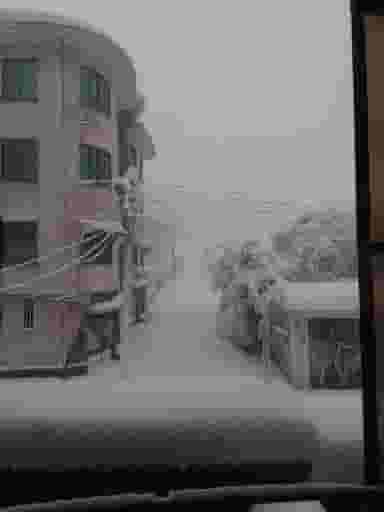 رستوران ایرانی در ایرج کشاورز لاهیجان