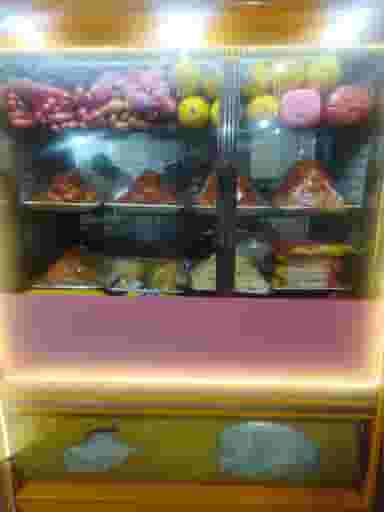 فست فود دلخواسته در نوروزیان قزوین