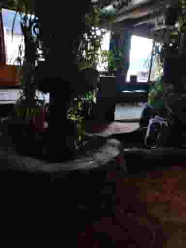 سفره خانه سنتی تاج محل تبریز