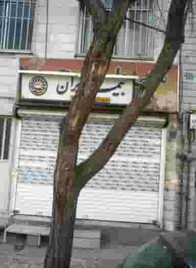 بیمه ایران شهرک آزمایش تهران