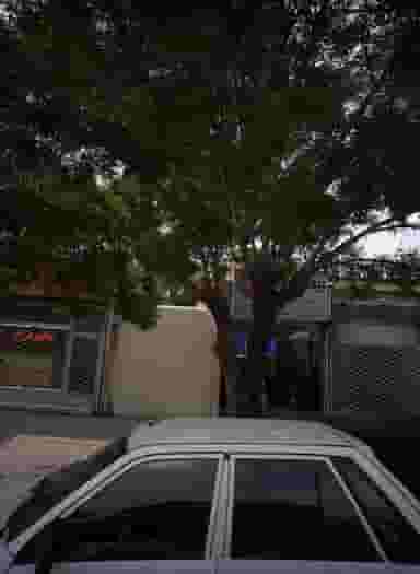 نمایندگی بیمه ایران شمشیری کد 30341 در شهید مطهری مشهد