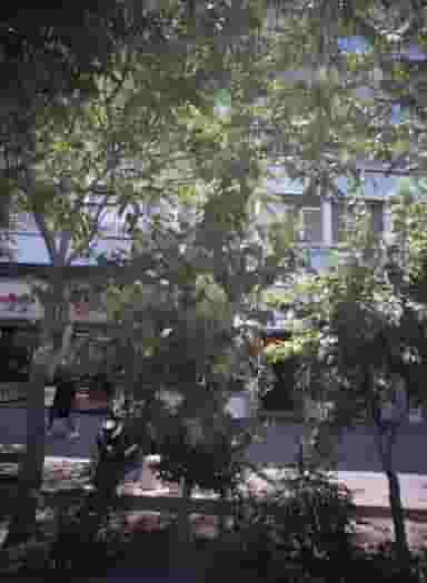 بیمه آسیا در فردوسی تهران