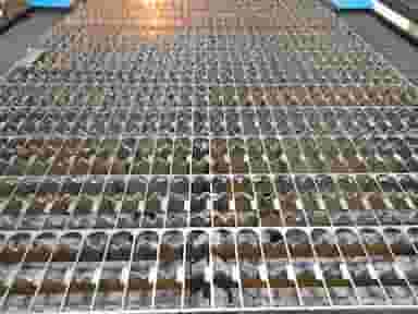 برش لیزری الماس تبریز تبریز