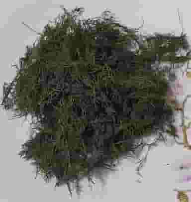 صنایع غذایی همیز در یزدانشهر قم