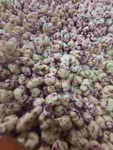 تولیدی نقل و حلوای ترخان در ارشاد ارومیه