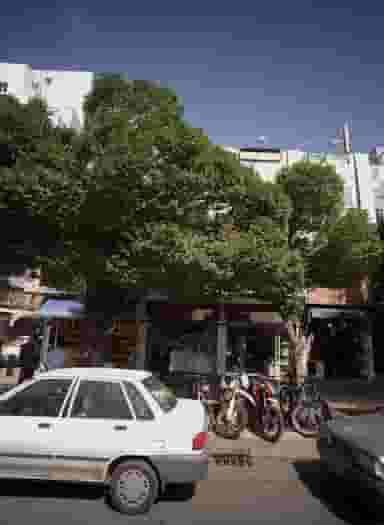 فروشگاه آجیل و خشکبار در دانش مشهد