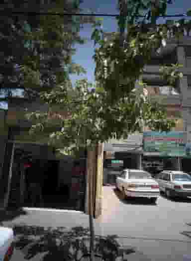 فروشگاه رستم زاده در شهید مطهری مشهد