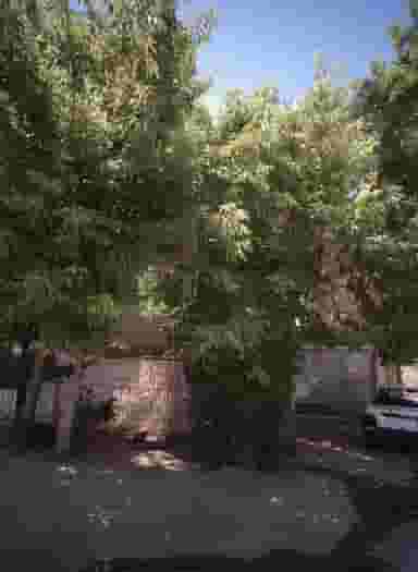 فروشگاه خشکبار در وحدت مشهد