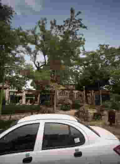 خشکبار حقیقت در رضاییه مشهد