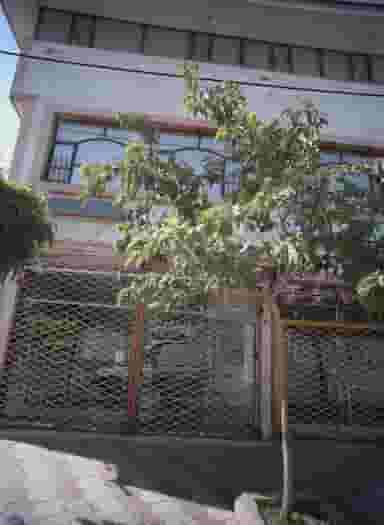 آجیل و خشکبار قائم در شهید قربانی مشهد