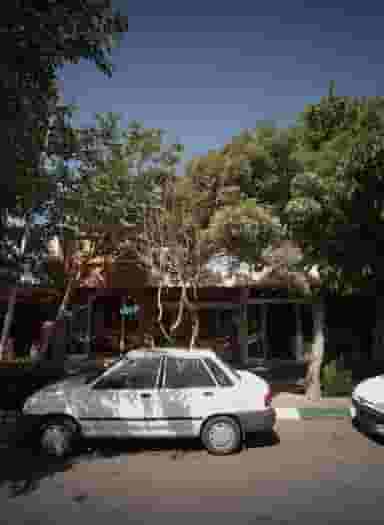 فروشگاه آجیل وخشکبار در سعد آباد مشهد