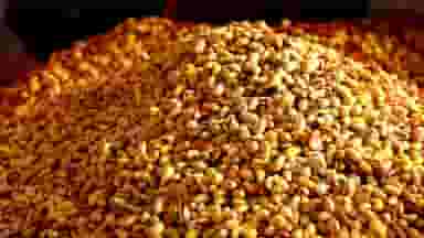 خشکبار پروینی شهرک گلستان کرج